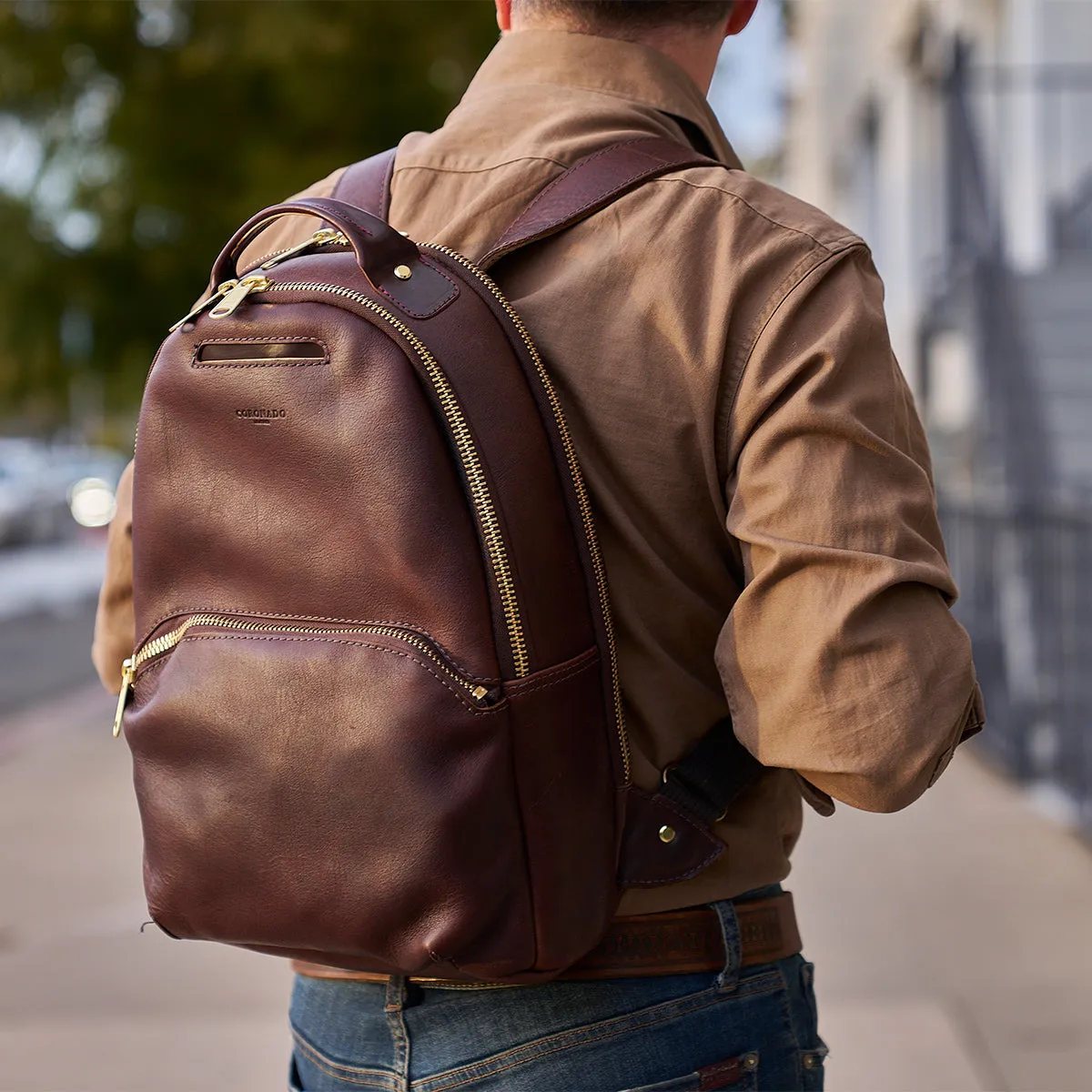 Clark Backpack No. 952  | LE Bison Saddle x2